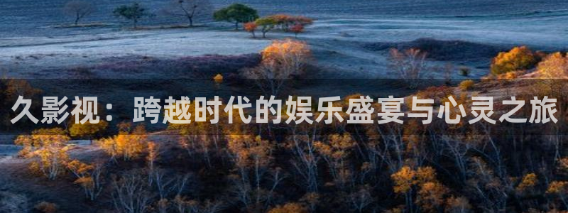 欧美精品浮力影院：久影视：跨越时代的娱乐盛宴与心灵之旅