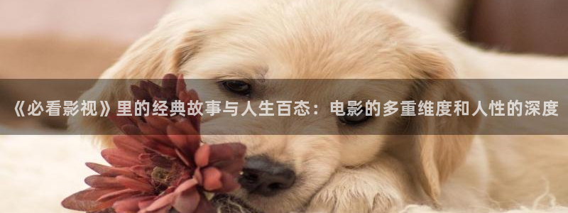 浮力影院国产限制：《必看影视》里的经典故事与人生百态：电影的多重维度和人性的深度