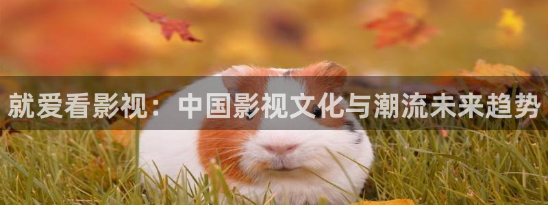 浮力影院日韩草草：就爱看影视：中国影视文化与潮流未来趋势