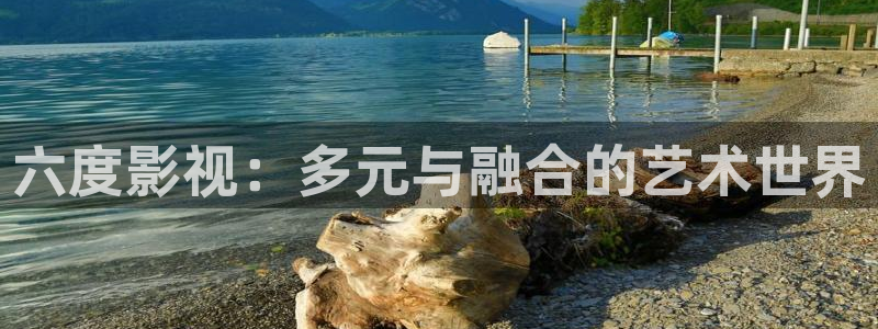 浮力限制影院：六度影视：多元与融合的艺术世界