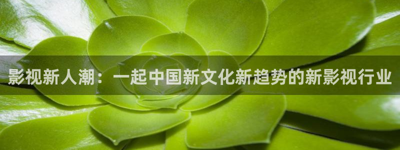 浮力影院新